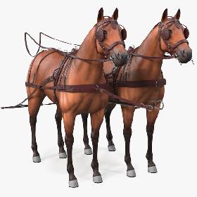 3D Pair of Breast Collar Harness Rigged model